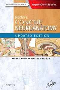 Netter's Concise Neuroanatomy Updated Edition