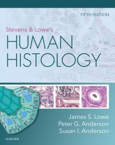 Stevens & Lowe's Human Histology - Elsevier eBook on VitalSource