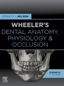 Wheeler's Dental Anatomy, Physiology and Occlusion - E-Book