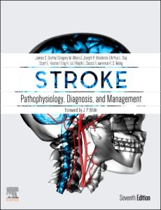 Stroke E-Book