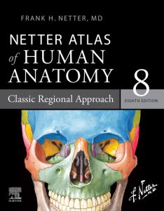 Netter Atlas of Human Anatomy: Classic Regional Approach - Ebook