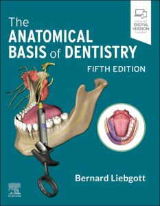 The Anatomical Basis of Dentistry - E-Book