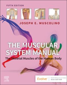 The Muscular System Manual - E-Book