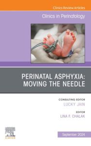 Perinatal Asphyxia: Moving the Needle, An Issue of Clinics in Perinatology, E-Book