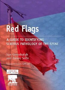 E-Book - Red Flags