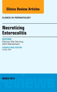 Retinopathy of Prematurity, An Issue of Clinics in Perinatology