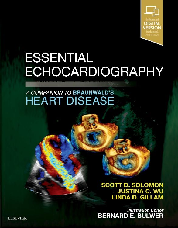 Principles and Practical Aspects of Strain Echocardiography