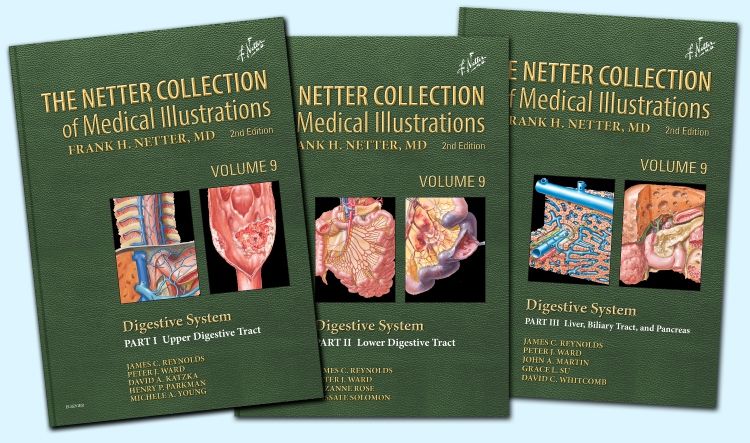 The netter collection of medical illustrations free download photoshop cs5 download with crack