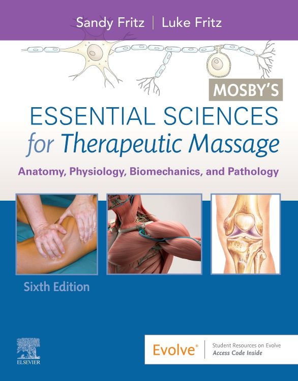 Medical knowledge, Massage therapy business, Muscle anatomy