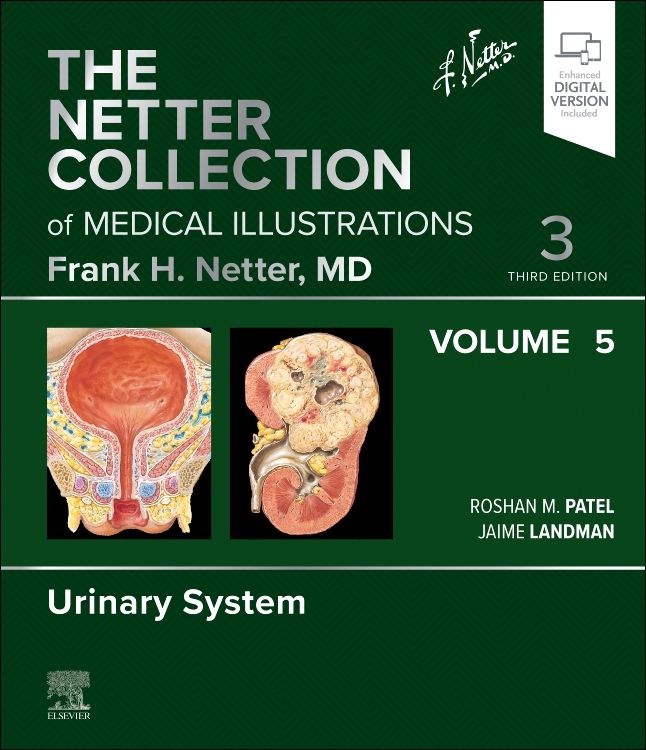 the netter collection of medical illustrations free download