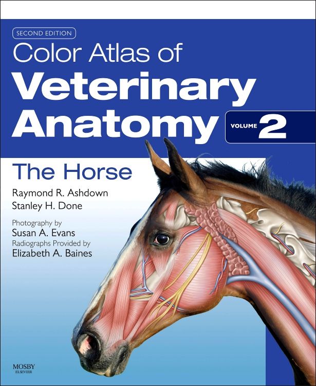 Color Atlas of Veterinary Anatomy - 洋書