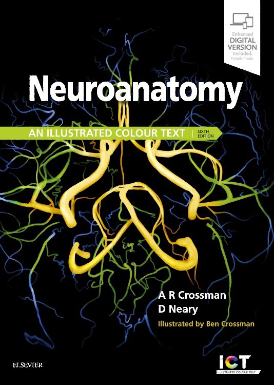 Neuroanatomy: an Illustrated Colour Text: 6th edition | Alan R. Crossman |  ISBN: 9780702074622 | Elsevier Asia Bookstore