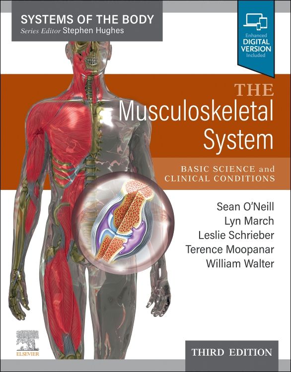 Respiratory System  Musculoskeletal Key