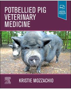 Potbellied Pig Veterinary Medicine