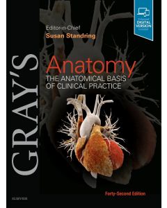 Gray's Anatomy