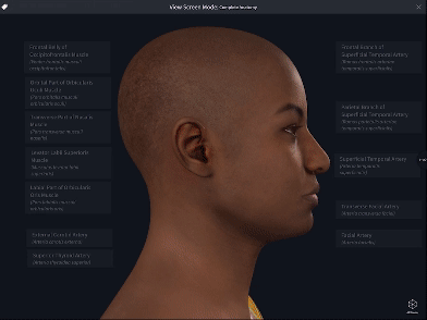 Complete Anatomy - Sample View Screen